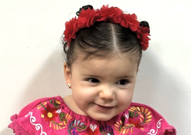 Niña sonriendo con vestido rosa bordado y corona de flores